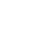 bigdub